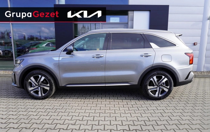 Kia Sorento cena 239900 przebieg: 5, rok produkcji 2024 z Ujazd małe 46